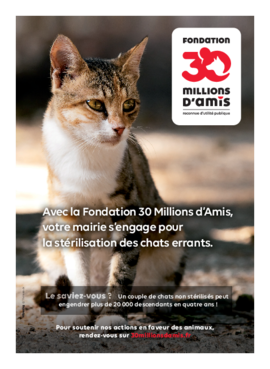 Agrandir l'image (fenêtre modale)